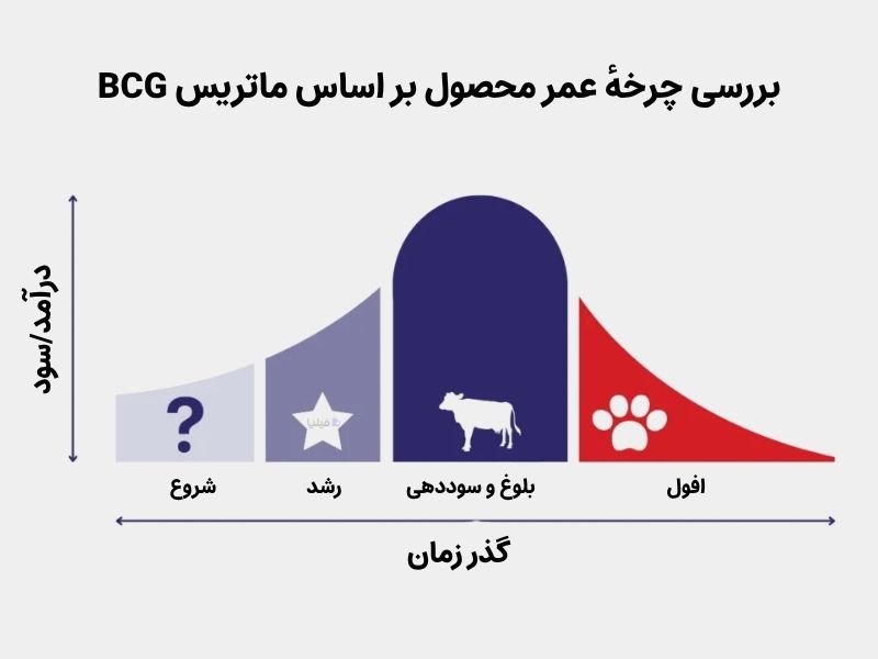 چرخه عمر محصول بر اساس ماتریس بوستون