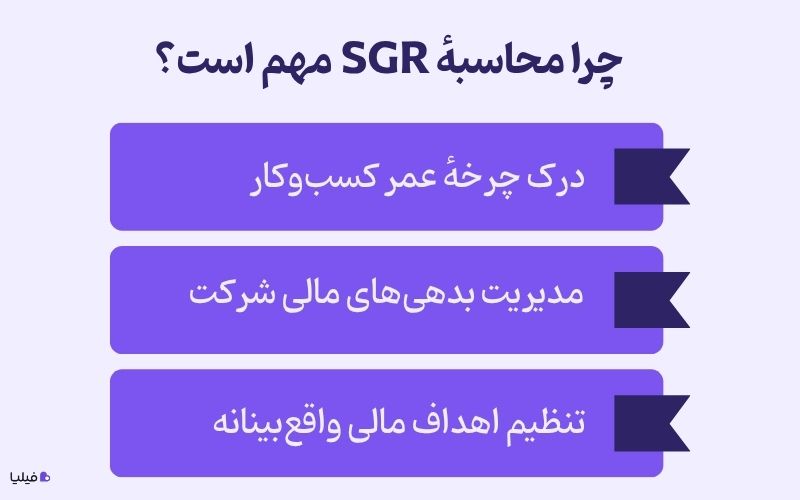 دلایل اهمیت محاسبه نرخ رشد پایدار یا SGR چیست؟ 