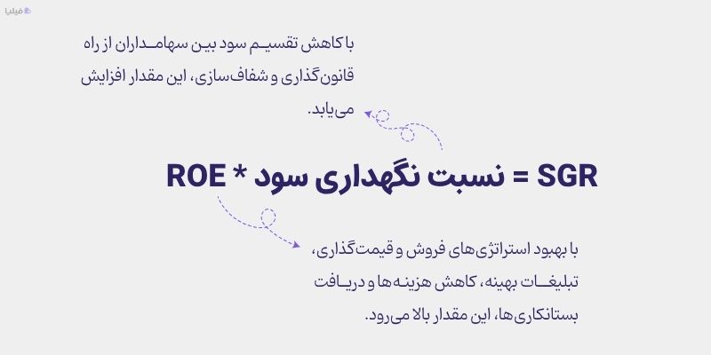 روش‌های افزایش نرخ رشد پایدار 